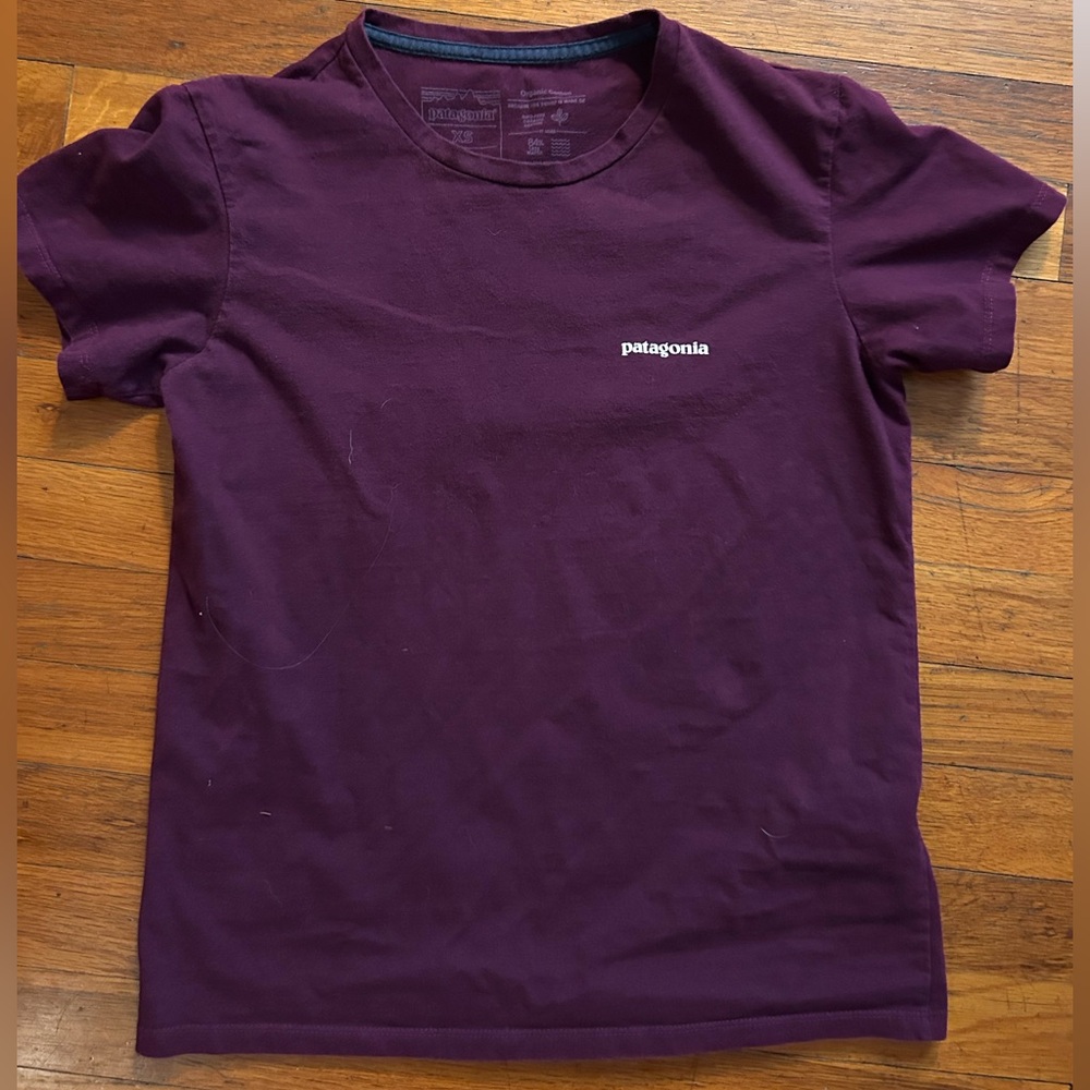 Patagonia Purple Graphic Tee